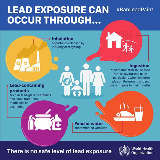 lead exposure causes_en