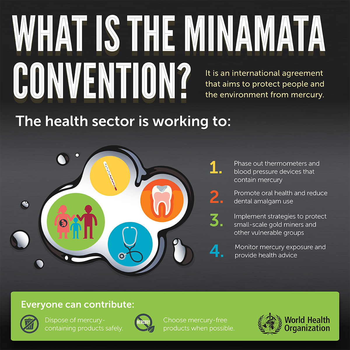 minamata convention_en