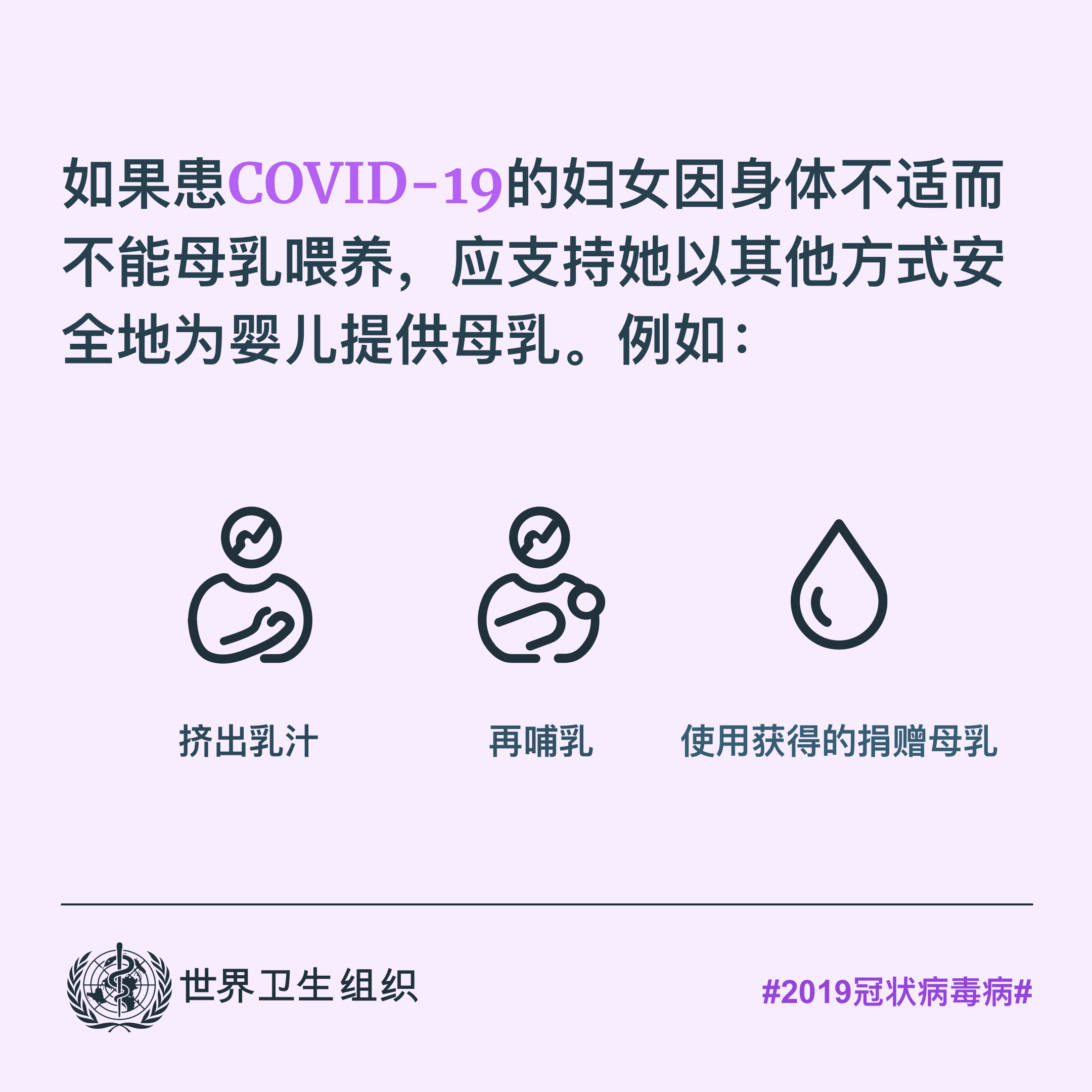 对公众的建议