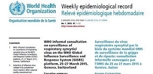 The Weekly Epidemiological Record Wer