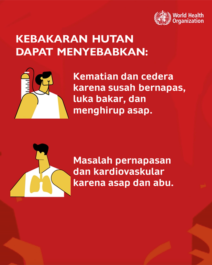 WHD infografik 5 - BI