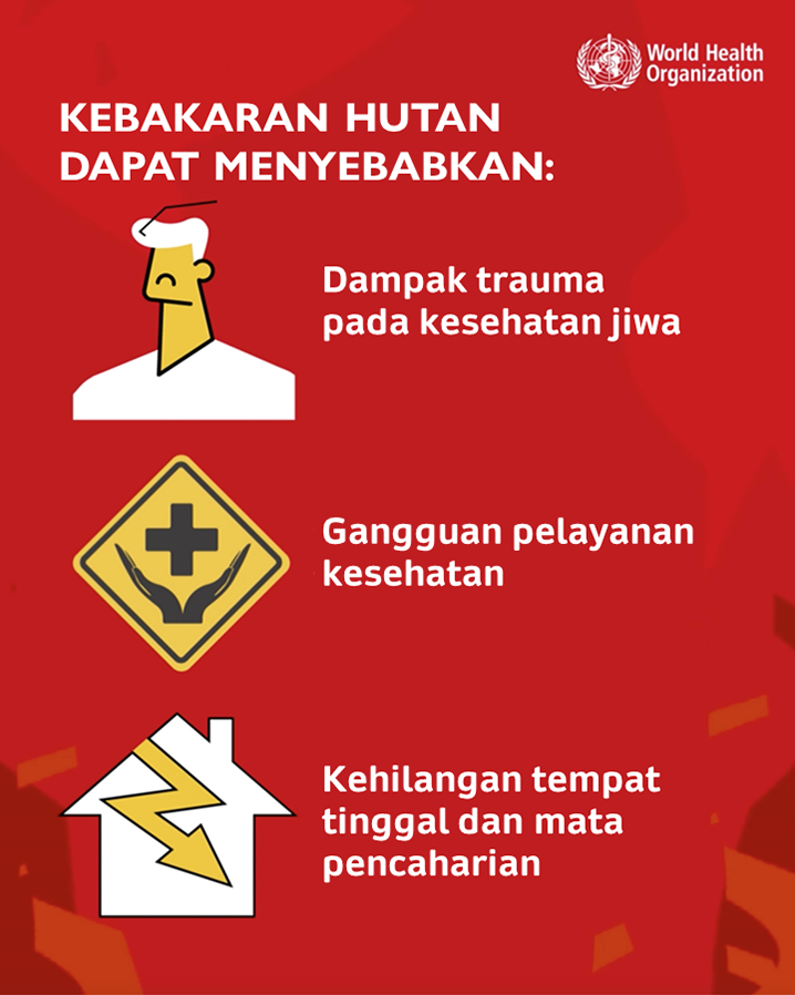 WHD infografik 6 - BI