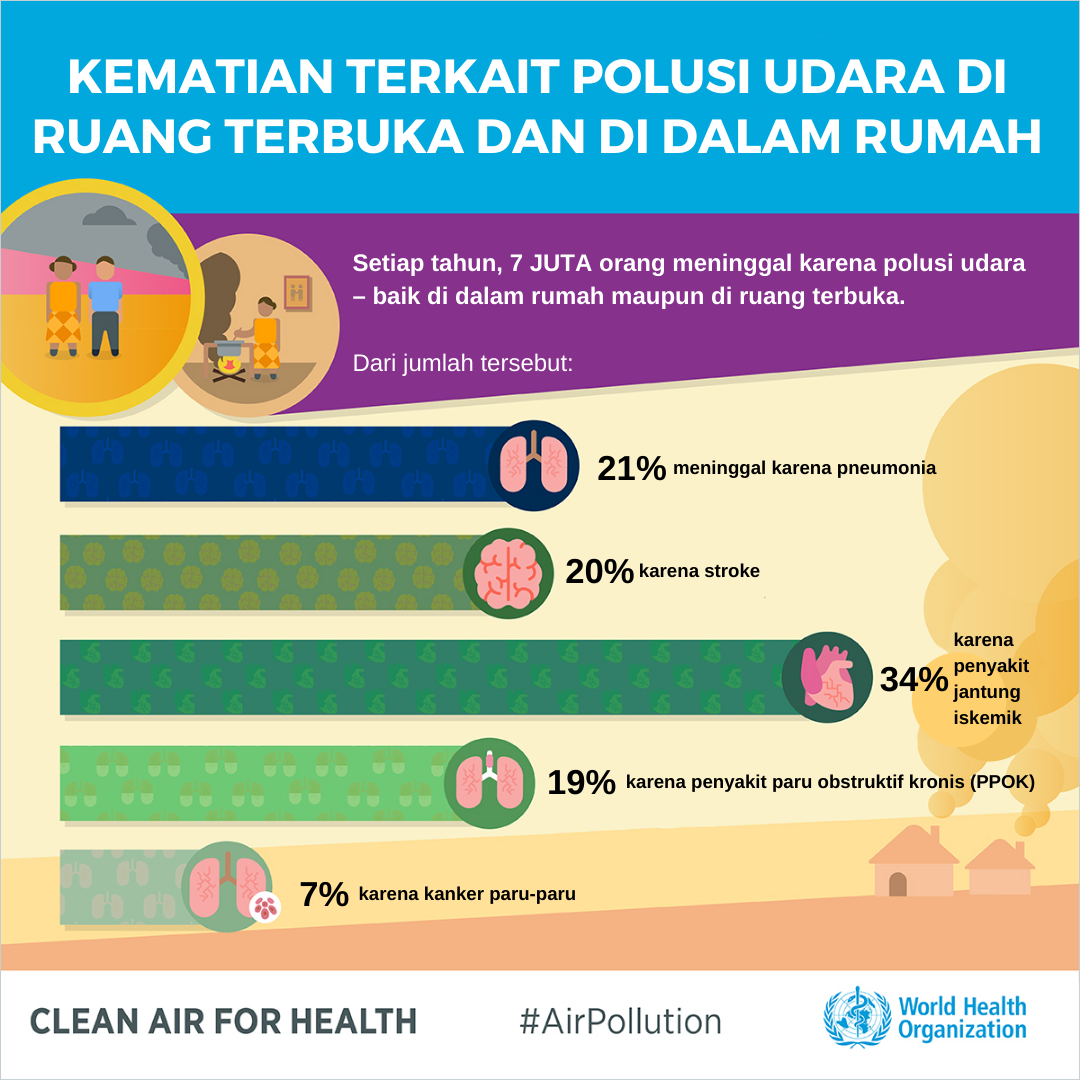 Air pollution 2 - BI
