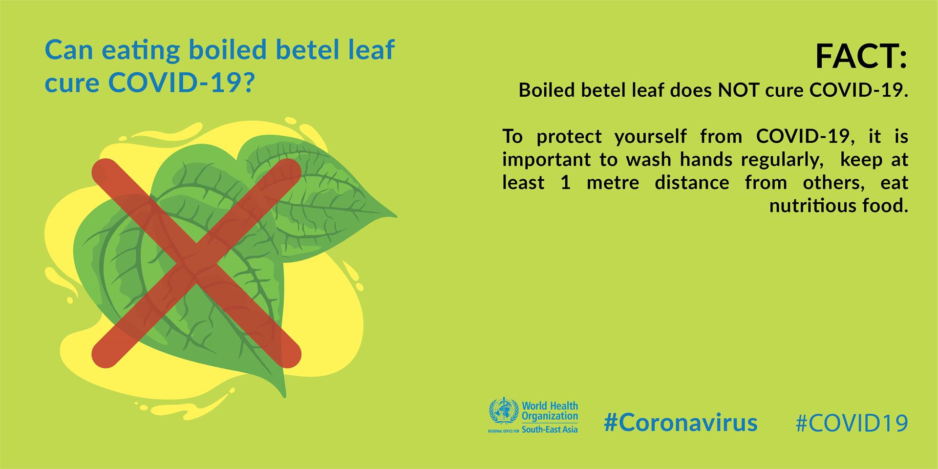Covid19 Fact or Fiction - Betel Leaf Betel Leaf myth