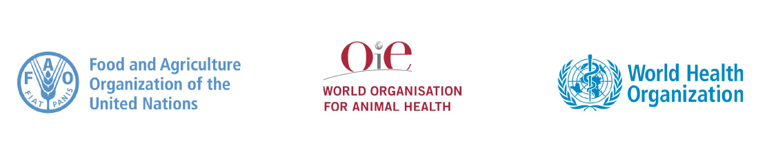 Webinar on “The FAO-OIE-WHO One Health Approach to AMR Mitigation and Safer Food in the Asia-Pacific Region”