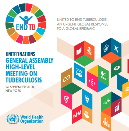 UN General Assembly High-Level Meeting on Ending TB: Brochure