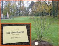 magnolia_for_lisa_200pix magnolia_for_lisa_200pix