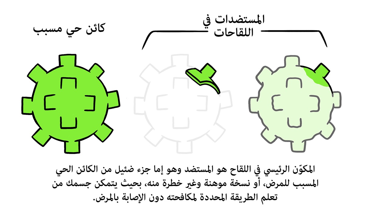 كيف تطوَّر اللقاحات؟