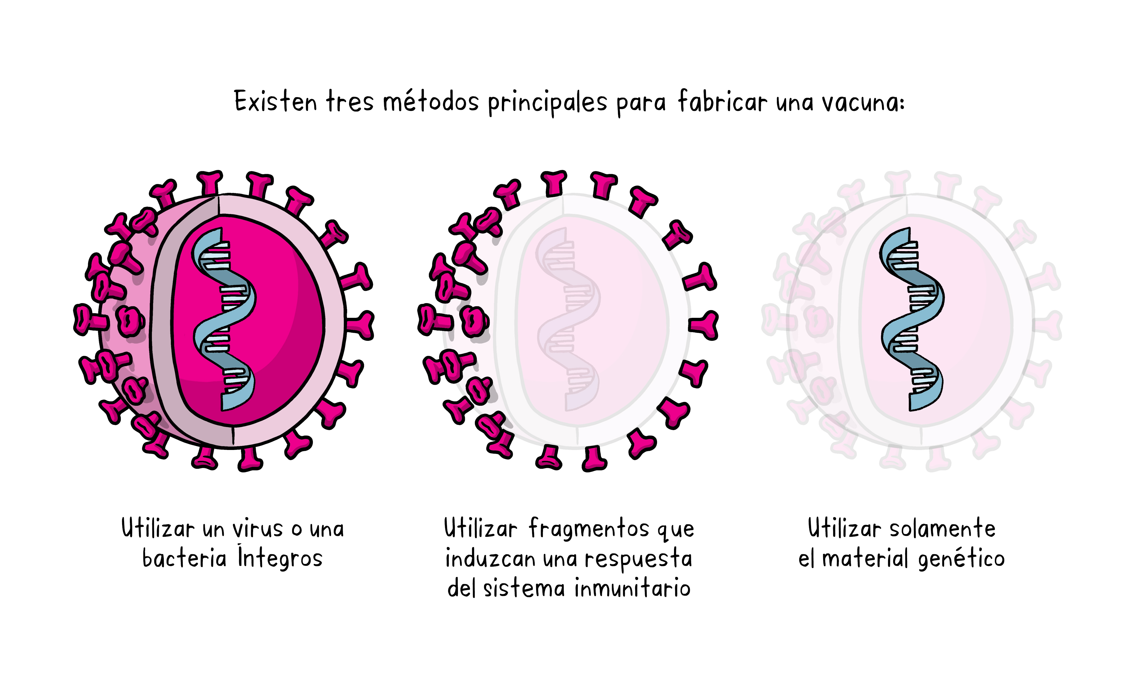 3 métodos principales para fabricar una vacuna