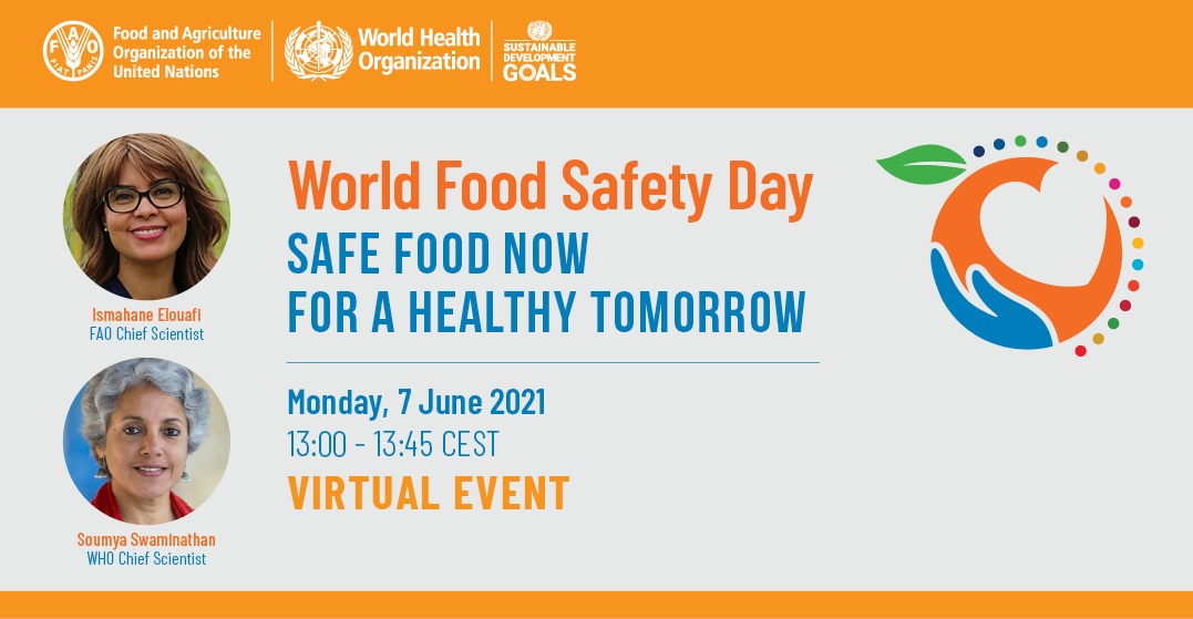 World Food Safety Day webinar Safe food now for a healthy tomorrow
