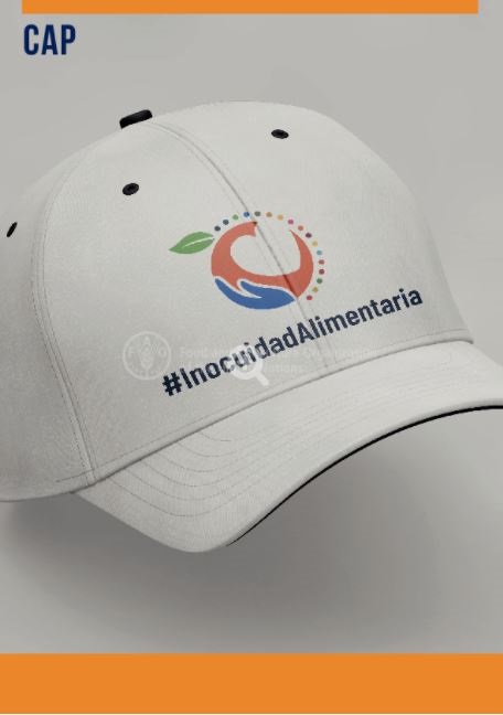 WFSD21_Cap_Mockup_EN