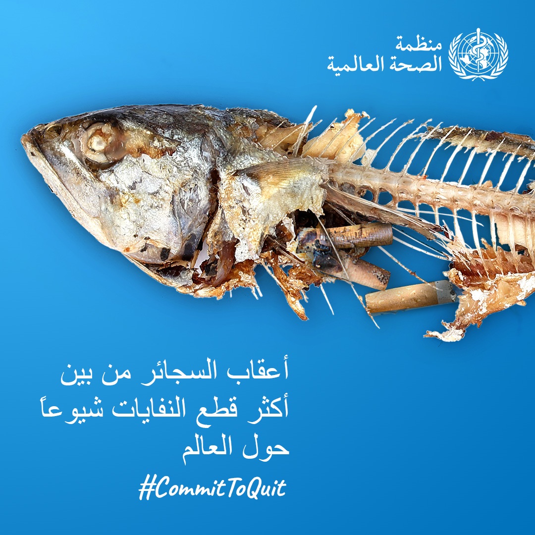 اليوم العالمي للامتناع عن تعاطي التبغ