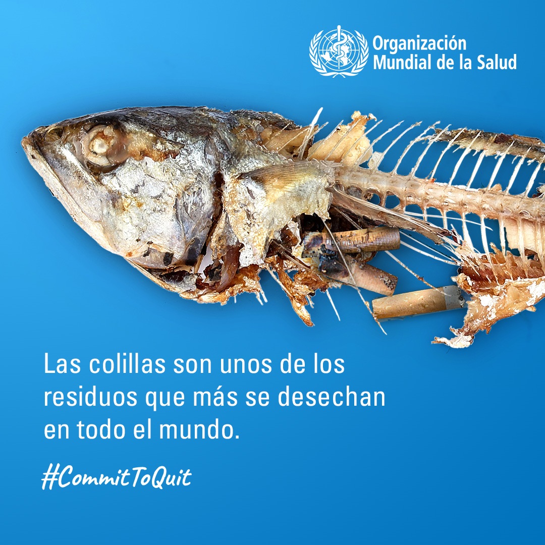 Día Mundial Sin Tabaco 2021