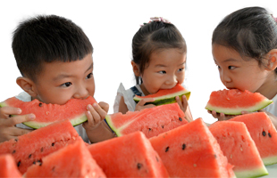 WHD Food sfaety campaign 2015