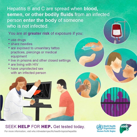 Graphic on hepatitis B and C