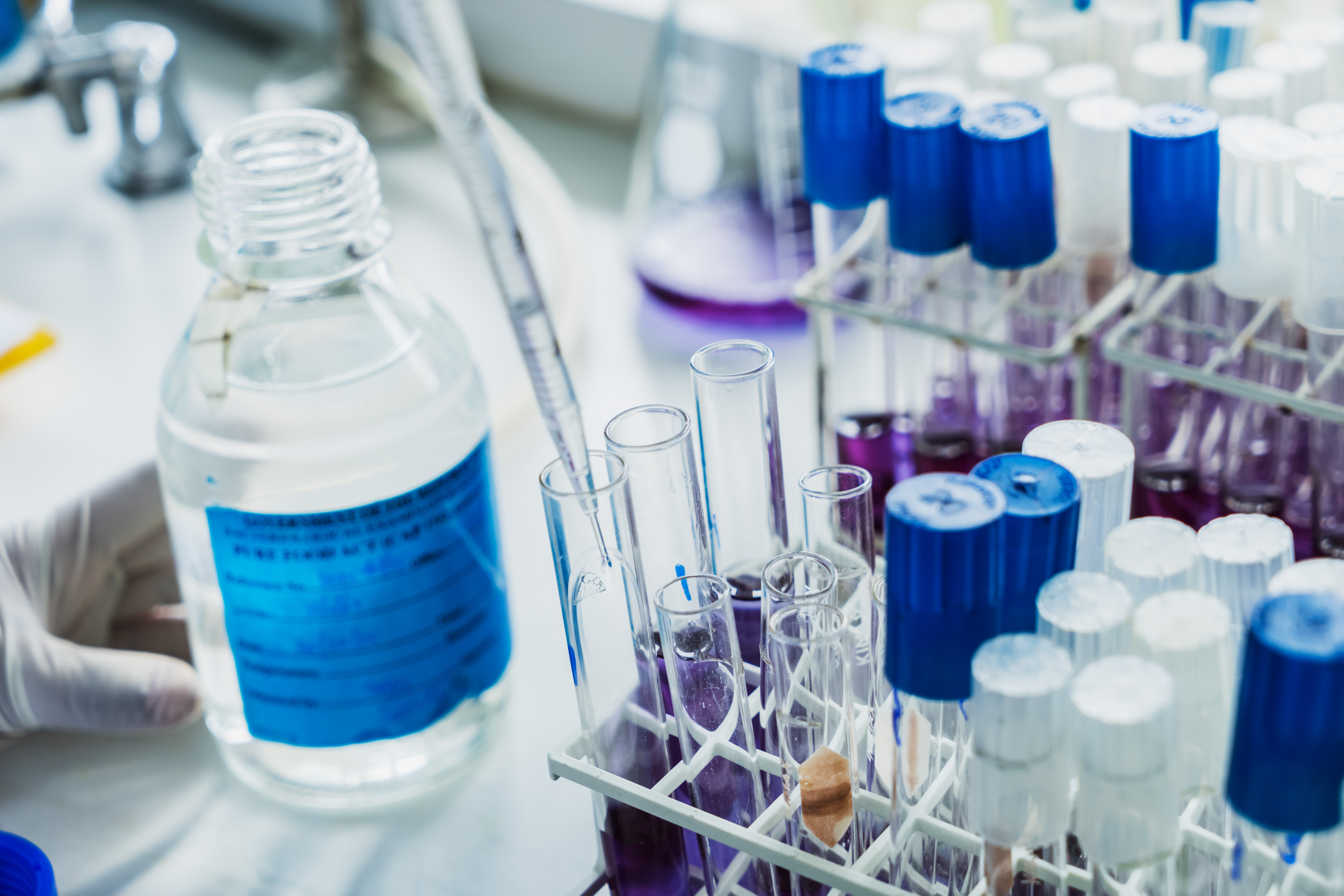 F1_08112015_FJ_04256