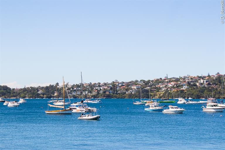 Our work with Australia