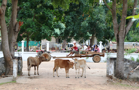 20180528-khamxay-and-phet-480