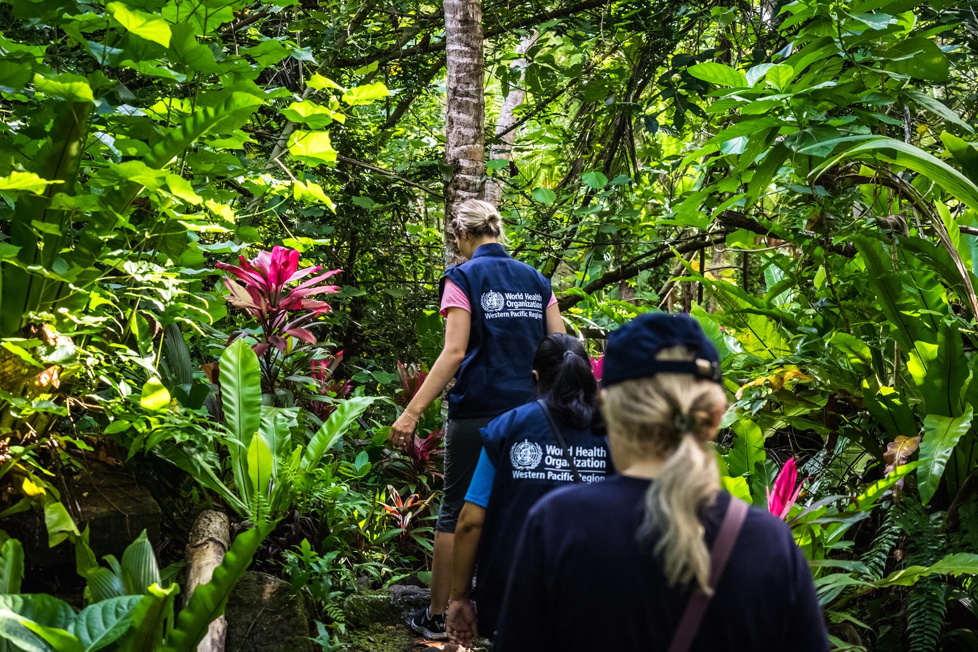 Our work in the Federated States of Micronesia