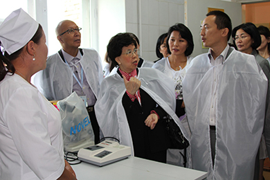subnational_health_systems1 subnational_health_systems1