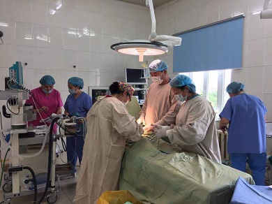 subnational_health_systems5 subnational_health_systems5