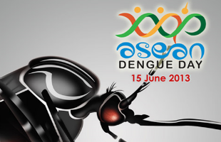 asean_dengue_day2013