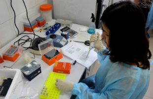 Ebola Virus Disease Laboratory diagnostics training course in Viet Nam