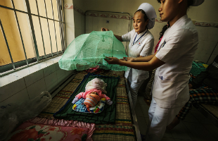 Ending malaria in Viet Nam The final stretch