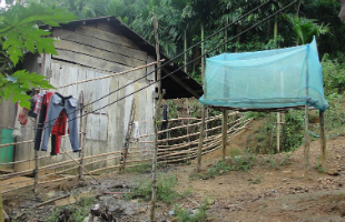 world-malaria-day-2015-protecting-and-strengthening-gains-for-a-malaria-free-viet-nam