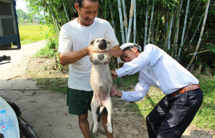 world-rabies-day-2014