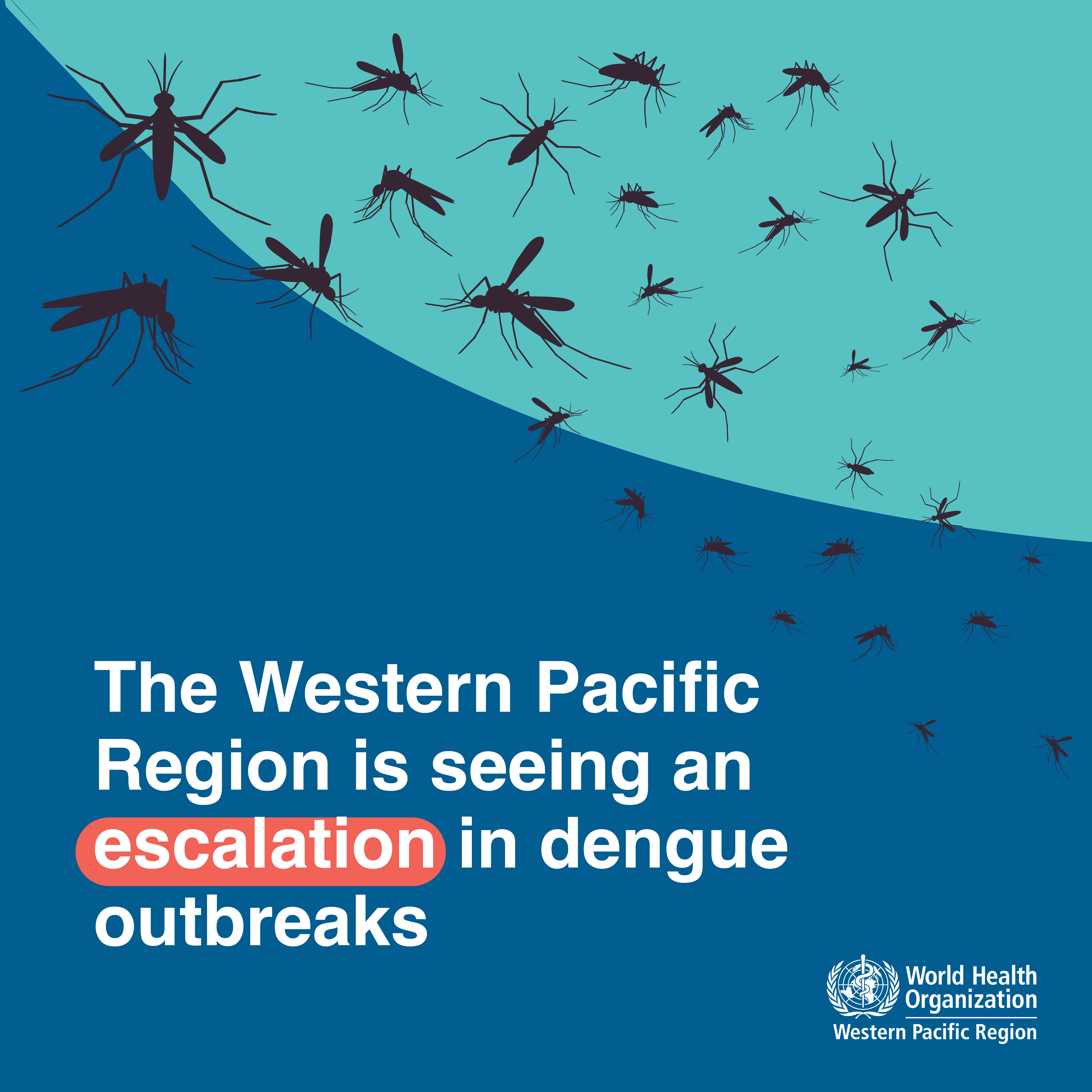 Escalation in dengue outbreaks The Western Pacific Region is seeing an escalation in dengue outbreaks