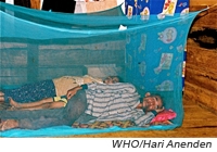 Anti-malarial bed net